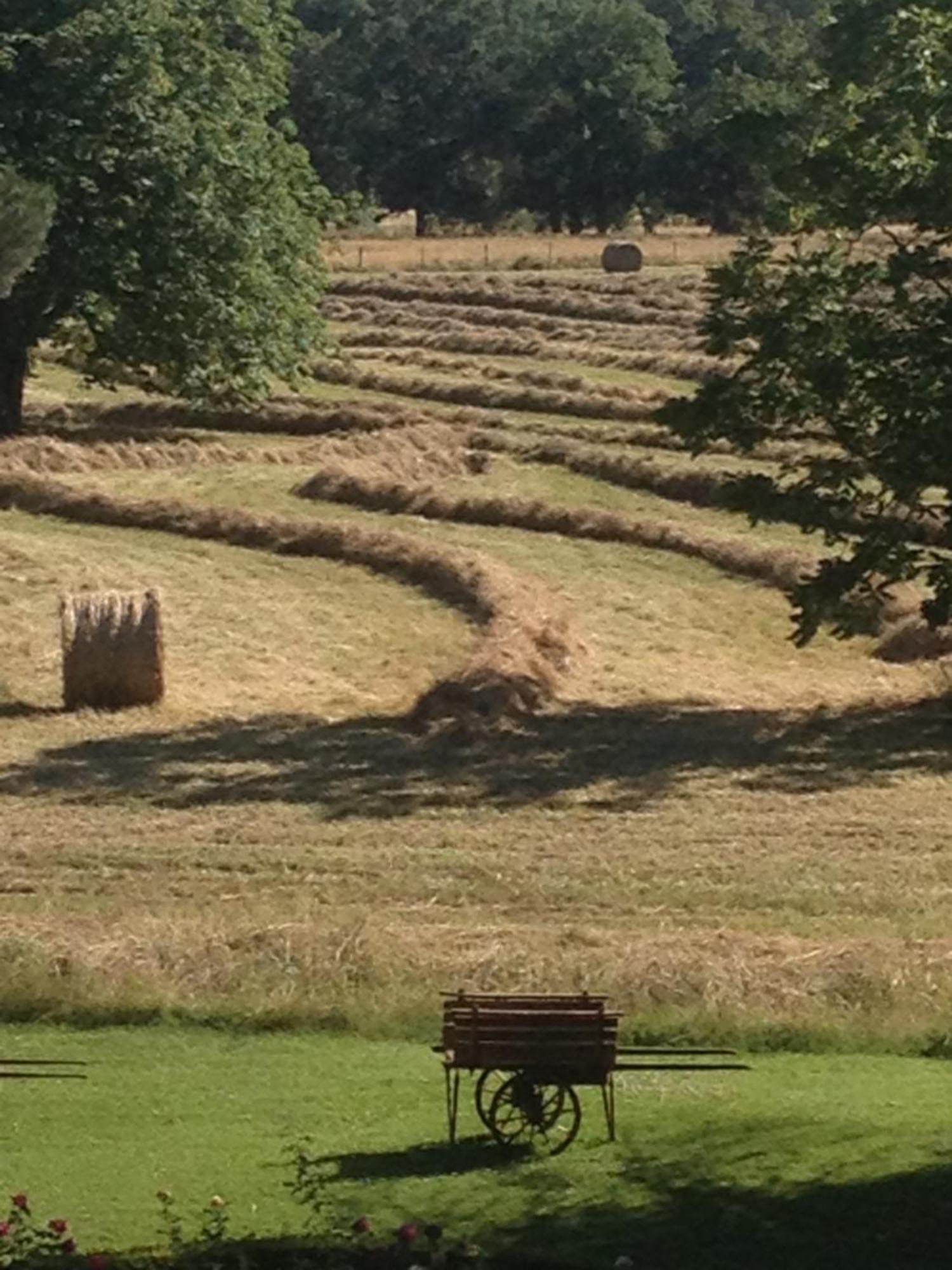 Domaine Du Buc, Le Chateau Marssac-sur-Tarn ภายนอก รูปภาพ